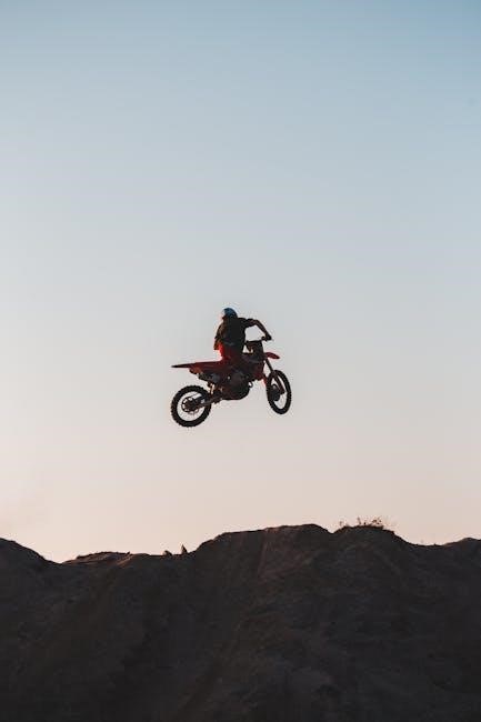 freestyle freedom lite manual pdf